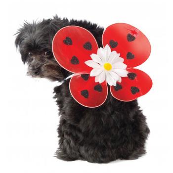 Lady Bug Fairy Wings Dog Costume – Red