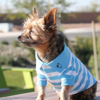 Striped Dog Polo by Doggie Design – Blue Niagara and White