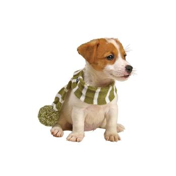 Frosty’s Snowflake Dog Scarf – Sage Green