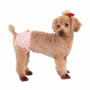Taffy Dog Sanitary Panty by Puppia – Orange